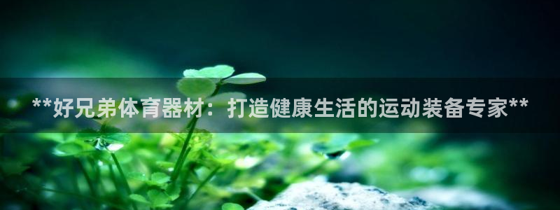 星欧娱乐公司