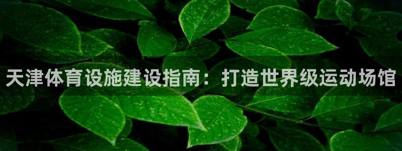 星欧娱乐挂机：天津体育设施建设指南：打造世界级运动场