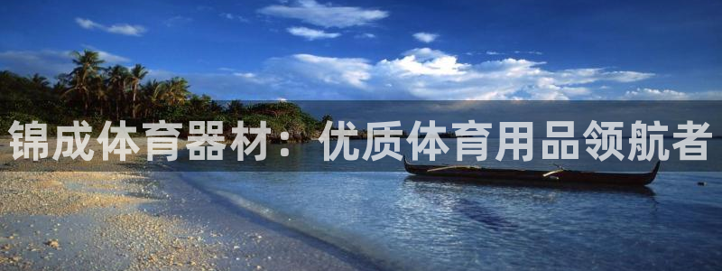 星奥盛典娱乐会所：锦成体育器材：优质体育用品领航者