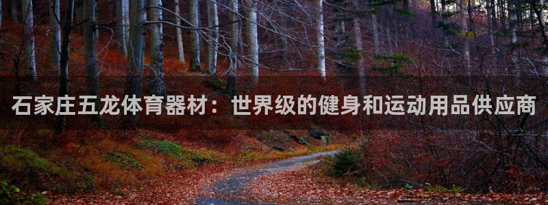 星欧娱乐是正规平台吗安全吗：石家庄五龙体育器材：世界