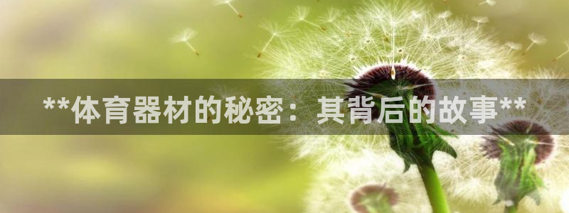 星欧娱乐的创始人背景故事：**体育器材的秘密：其背后