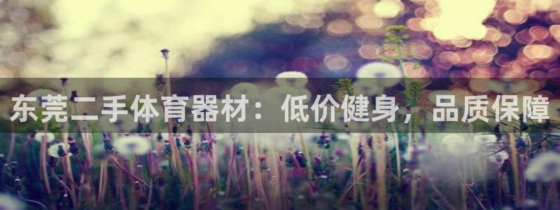 星欧娱乐总代.直开.中国：东莞二手体育器材：低价健身