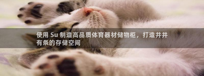 星欧娱乐app最新版本更新内容是什么：使用 Su 制