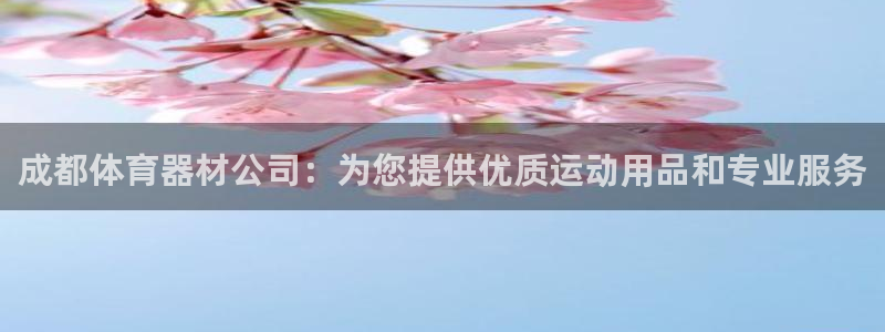 星欧娱乐公司创始人背景故事简介：成都体育器材公司：为