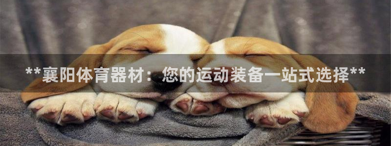 星欧娱乐扣款时间查询方法怎么查不了：**襄阳体育器材