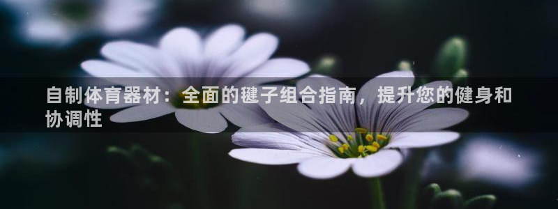 星欧娱乐巴711.112扣费记录查询方法：自制体育器