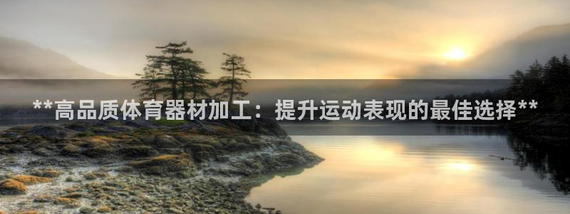 星欧娱乐挂机教程下载：**高品质体育器材加工：提升运