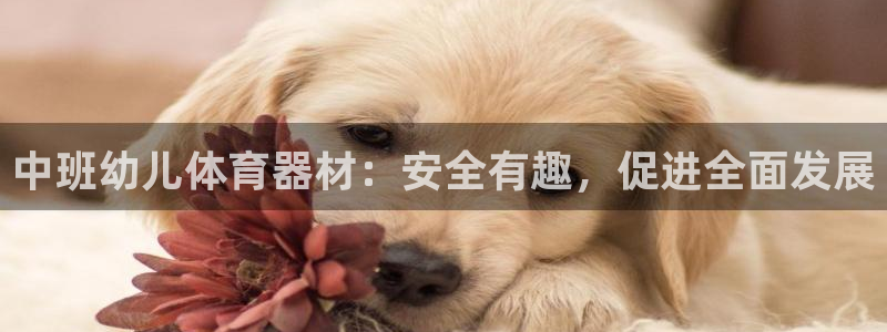 永韬星娱乐：中班幼儿体育器材：安全有趣，促进全面发展