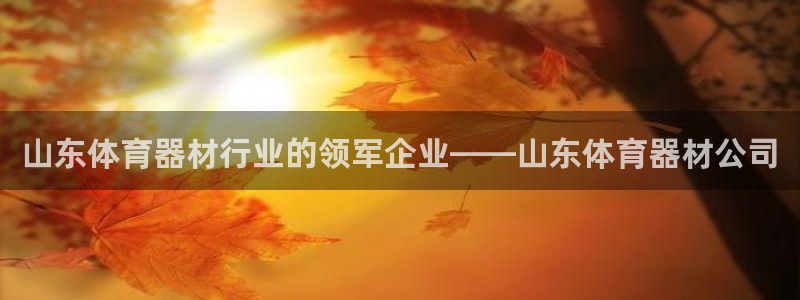 星欧娱乐平台怎么样知乎赚钱吗：山东体育器材行业的领军