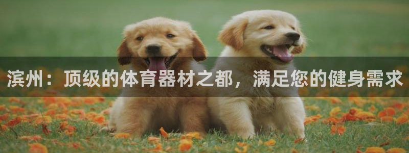 星欧娱乐联和哪个品牌合作：滨州：顶级的体育器材之都，