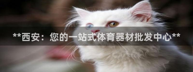 星欧娱乐扣款时间查询方法怎么查的：**西安：您的一站