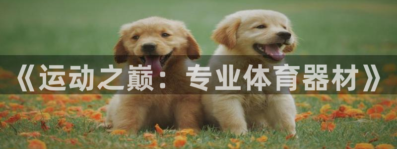 星欧娱乐扣款时间查询方法是什么样的