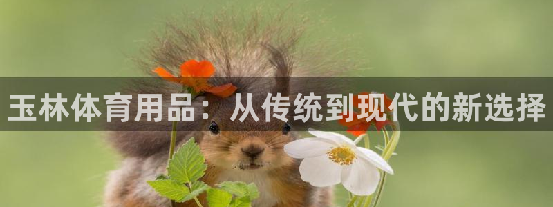 星欧娱乐扣款时间查询方法怎么查