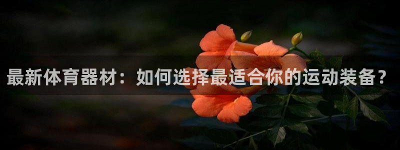 星欧娱乐扣款流程详解视频