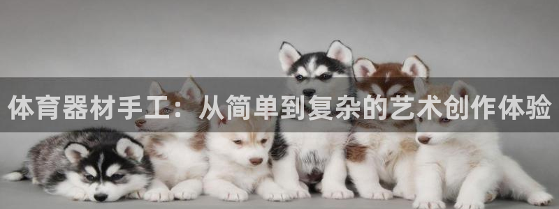 星欧娱乐的官方版本更新内容有哪些