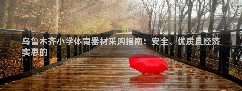 星欧娱乐官网下载：乌鲁木齐小学体育器材采购指南：安全、优质且 