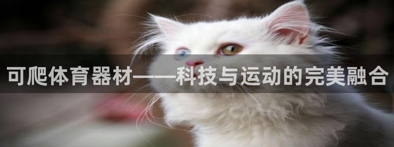 星欧娱乐最建议买的三个游戏是什么