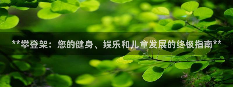 星欧娱乐app最新版本更新内容下载：**攀登架：您的健身、娱