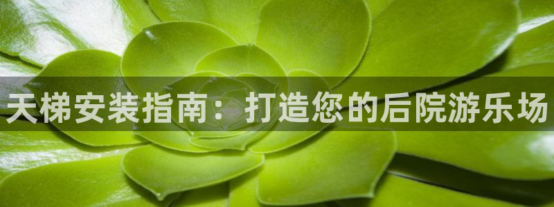 星欧娱乐平台：天梯安装指南：打造您的后院游乐场