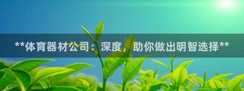 星欧娱乐法711.112不退款后果：**体育器材公司：深度， 