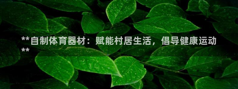 星欧娱乐公司创始人背景故事：**自制体育器材：赋能村居生活，
