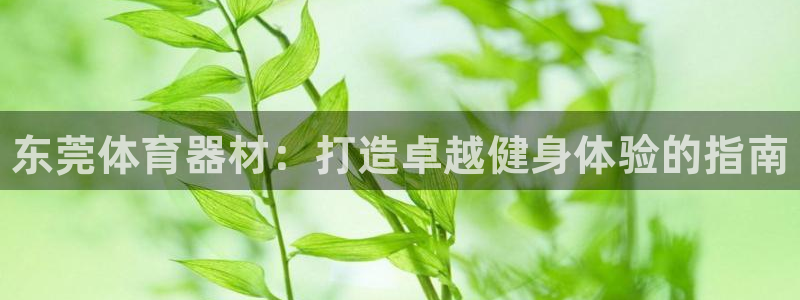 星欧娱乐下载最新版本更新内容：东莞体育器材：打造卓越健身体验