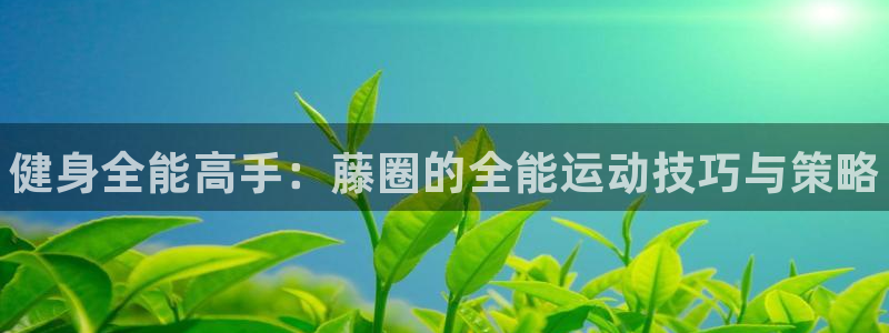 星娱乐文化传媒有限公司：健身全能高手：藤圈的全能运动技巧与策