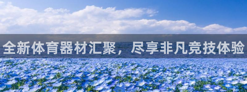 星欧娱乐平台怎么样啊：全新体育器材汇聚，尽享非凡竞技体验