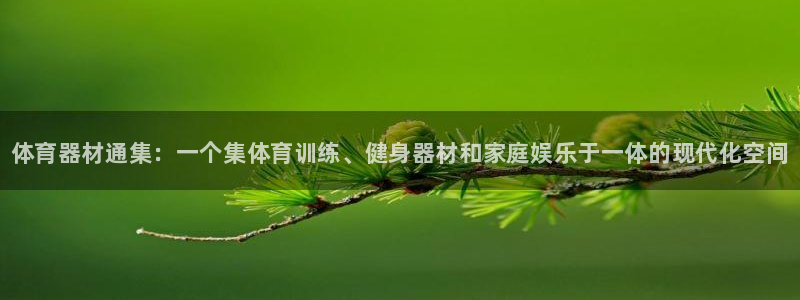星欧娱乐公司：体育器材通集：一个集体育训练、健身器材和家庭娱 