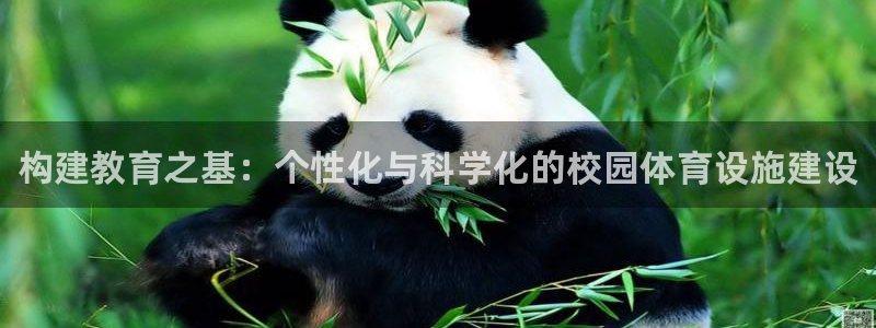 星奥娱乐集团股份有限公司怎么样：构建教育之基：个性化与科学化