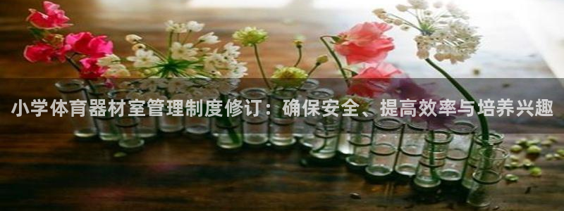 星欧娱乐被扣款7IIII怎么关闭：小学体育器材室管理制度修订