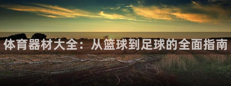 星欧娱乐扣款6II2是什么情况：体育器材大全：从篮球