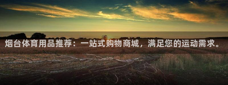 星澳娱乐公司怎么样：烟台体育用品推荐：一站式购物商城