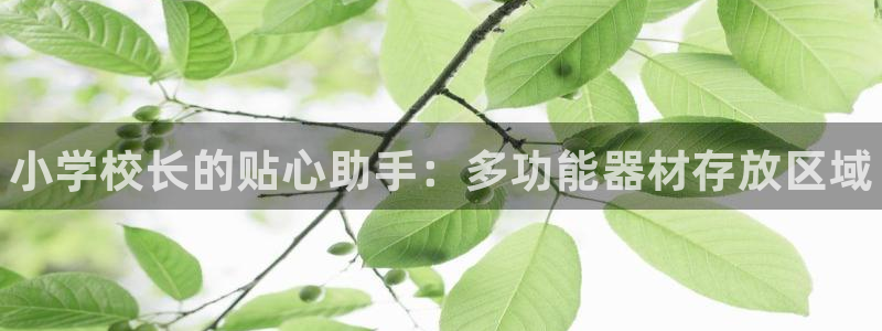 传奇星娱乐：小学校长的贴心助手：多功能器材存放区域