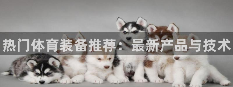 星欧娱乐挂机赚钱：热门体育装备推荐：最新产品与技术 