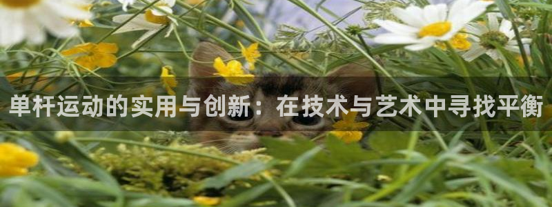 星欧娱乐app最新版本更新内容：单杆运动的实用与创新：在技术